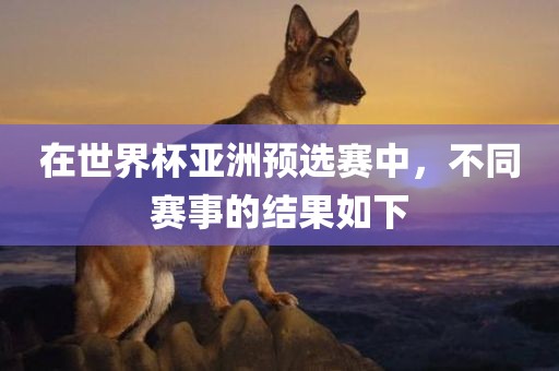 在世界杯亚洲预选赛中，不同赛事的结果如下