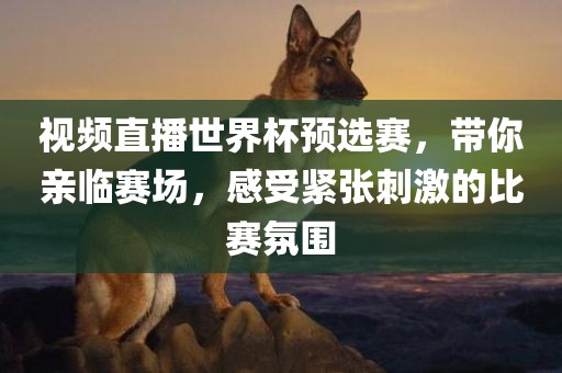 视频直播世界杯预选赛，带你亲临赛场，感受紧张刺激的比赛氛围