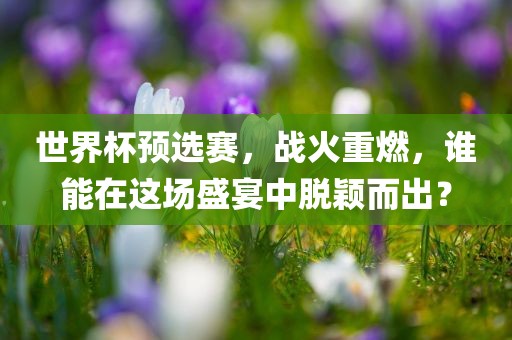 世界杯预选赛，战火重燃，谁能在这场盛宴中脱颖而出？