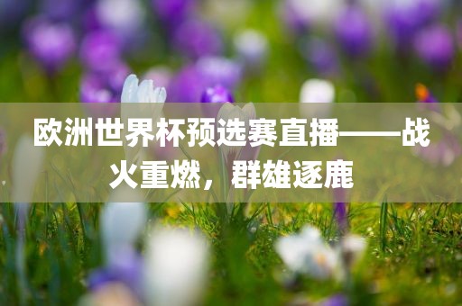 欧洲世界杯预选赛直播——战火重燃，群雄逐鹿