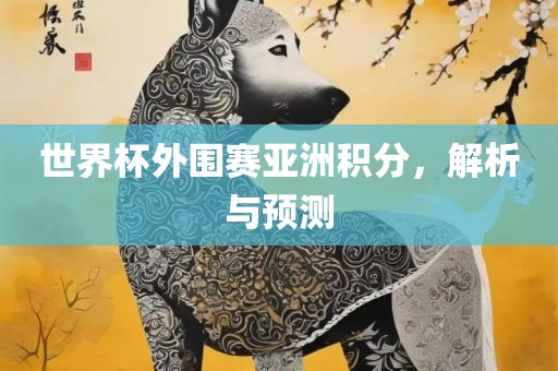 世界杯外围赛亚洲积分，解析与预测