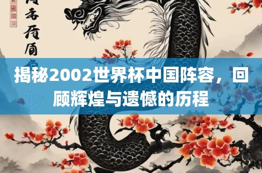 揭秘2002世界杯中国阵容，回顾辉煌与遗憾的历程