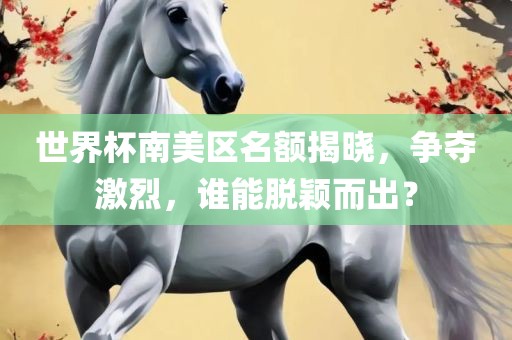 世界杯南美区名额揭晓，争夺激烈，谁能脱颖而出？