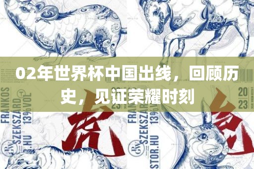 02年世界杯中国出线，回顾历史，见证荣耀时刻
