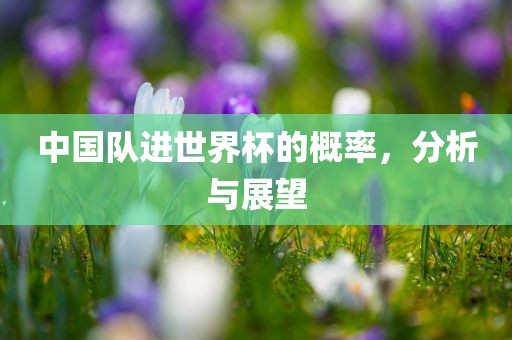 中国队进世界杯的概率，分析与展望