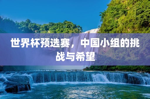 世界杯预选赛，中国小组的挑战与希望
