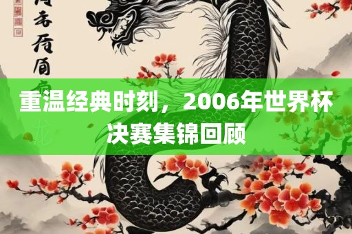 重温经典时刻，2006年世界杯决赛集锦回顾