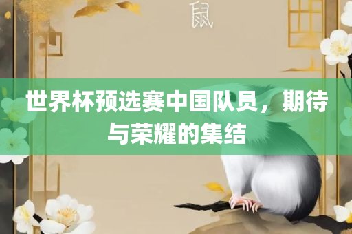 世界杯预选赛中国队员，期待与荣耀的集结