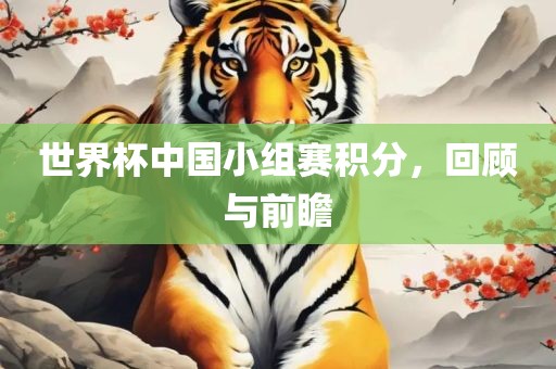 世界杯中国小组赛积分，回顾与前瞻