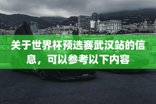 关于世界杯预选赛武汉站的信息，可以参考以下内容
