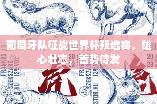 葡萄牙队征战世界杯预选赛，雄心壮志，蓄势待发