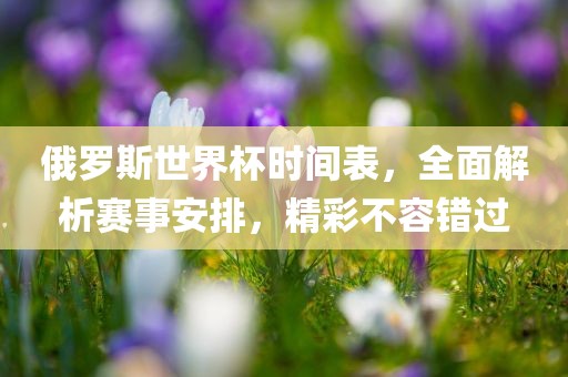 俄罗斯世界杯时间表，全面解析赛事安排，精彩不容错过