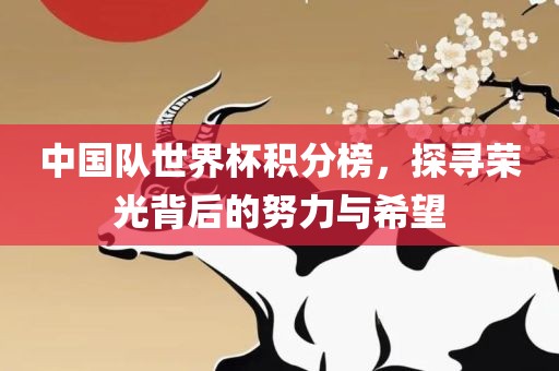 中国队世界杯积分榜，探寻荣光背后的努力与希望