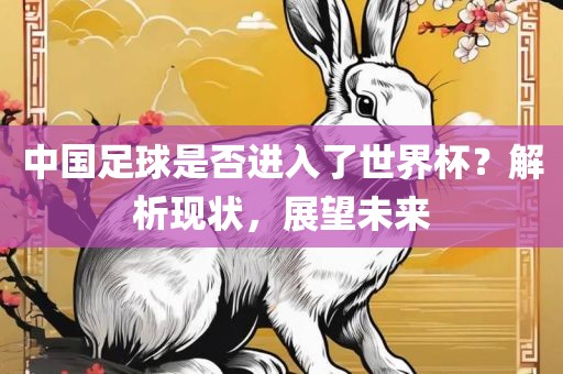 中国足球是否进入了世界杯？解析现状，展望未来