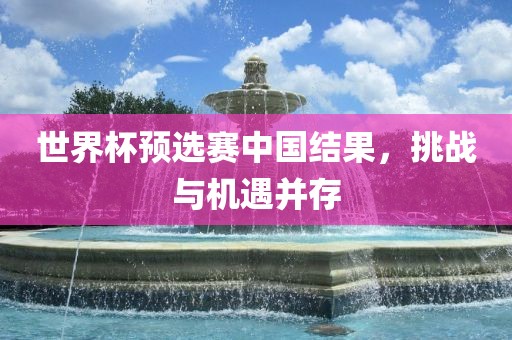 世界杯预选赛中国结果，挑战与机遇并存