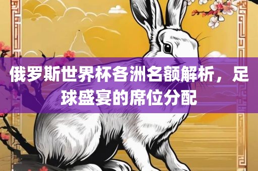俄罗斯世界杯各洲名额解析，足球盛宴的席位分配