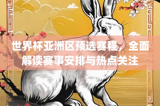 世界杯亚洲区预选赛程，全面解读赛事安排与热点关注
