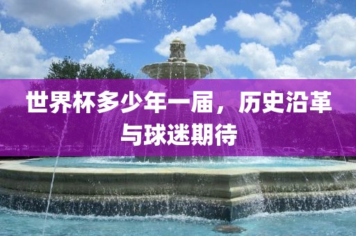 世界杯多少年一届，历史沿革与球迷期待