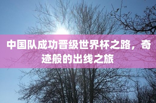 中国队成功晋级世界杯之路，奇迹般的出线之旅