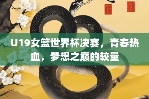 U19女篮世界杯决赛，青春热血，梦想之巅的较量