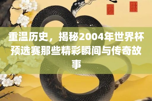 重温历史，揭秘2004年世界杯预选赛那些精彩瞬间与传奇故事