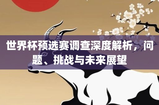 世界杯预选赛调查深度解析，问题、挑战与未来展望