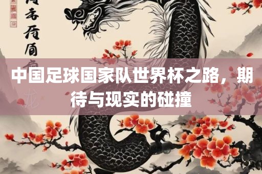 中国足球国家队世界杯之路，期待与现实的碰撞