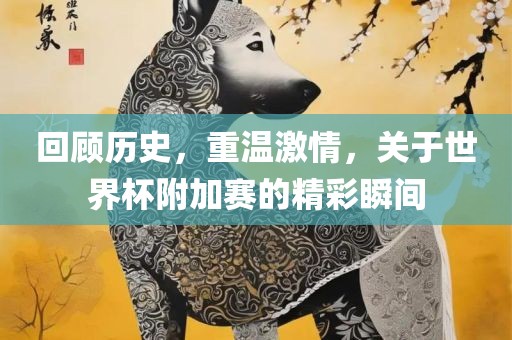 回顾历史，重温激情，关于世界杯附加赛的精彩瞬间