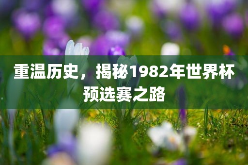 重温历史，揭秘1982年世界杯预选赛之路