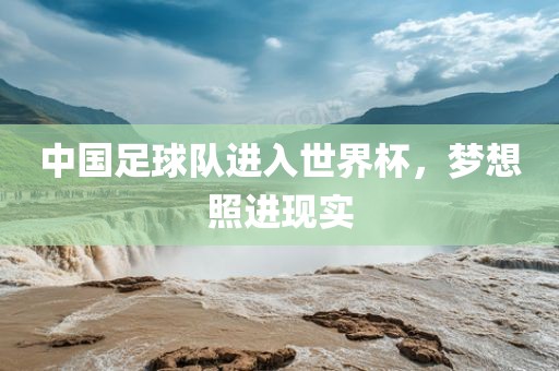 中国足球队进入世界杯，梦想照进现实
