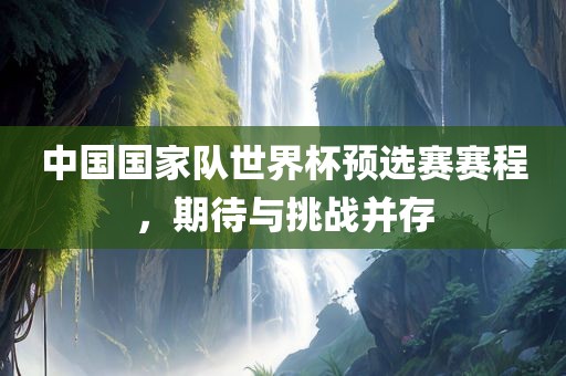 中国国家队世界杯预选赛赛程，期待与挑战并存