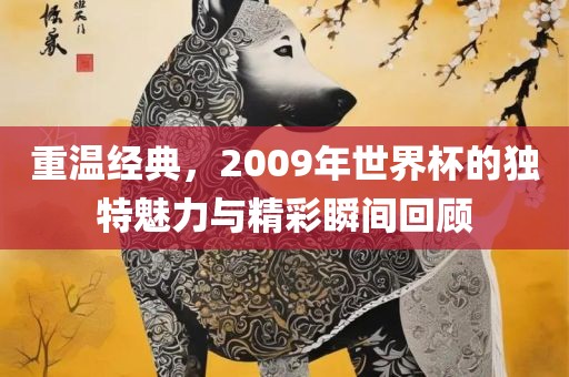 重温经典，2009年世界杯的独特魅力与精彩瞬间回顾