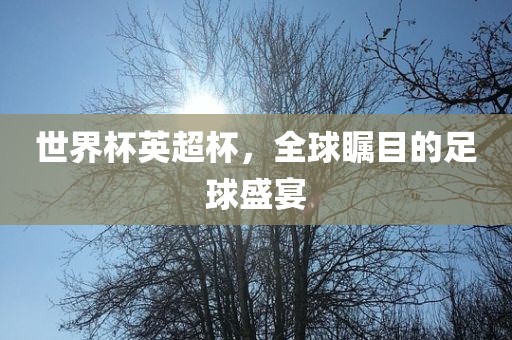 世界杯英超杯，全球瞩目的足球盛宴