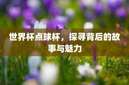 世界杯点球杯，探寻背后的故事与魅力