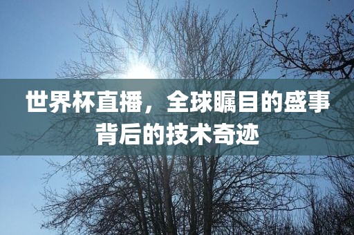 世界杯直播，全球瞩目的盛事背后的技术奇迹