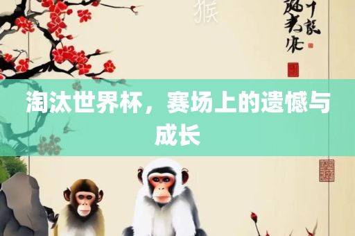 淘汰世界杯，赛场上的遗憾与成长