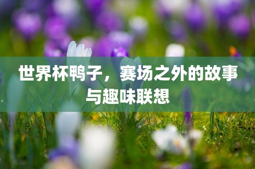 世界杯鸭子，赛场之外的故事与趣味联想