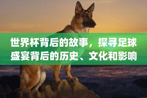 世界杯背后的故事，探寻足球盛宴背后的历史、文化和影响