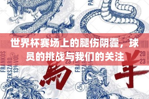 世界杯赛场上的腿伤阴霾，球员的挑战与我们的关注