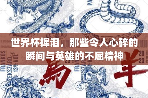 世界杯挥泪，那些令人心碎的瞬间与英雄的不屈精神