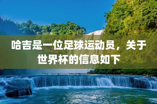 哈吉是一位足球运动员，关于世界杯的信息如下
