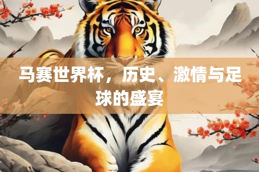 马赛世界杯，历史、激情与足球的盛宴
