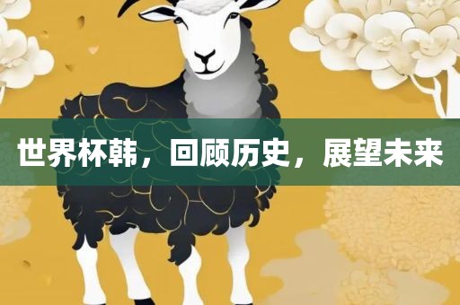 世界杯韩，回顾历史，展望未来