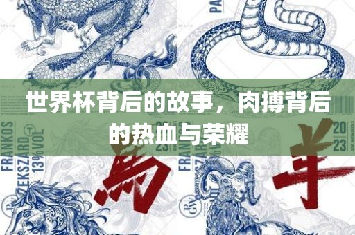 世界杯背后的故事，肉搏背后的热血与荣耀