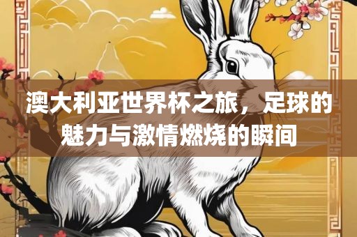 澳大利亚世界杯之旅，足球的魅力与激情燃烧的瞬间