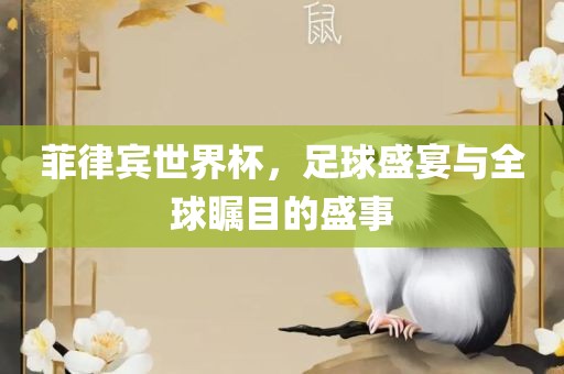 菲律宾世界杯，足球盛宴与全球瞩目的盛事