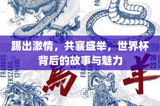 踢出激情，共襄盛举，世界杯背后的故事与魅力