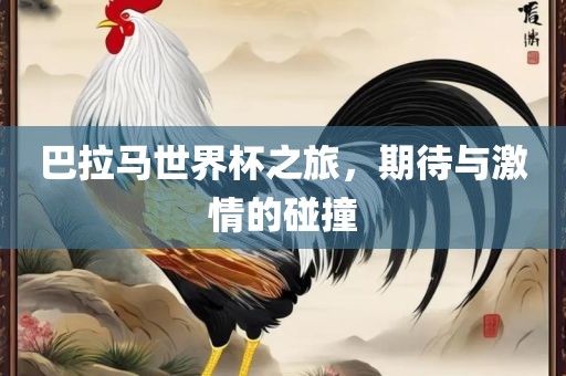 巴拉马世界杯之旅，期待与激情的碰撞