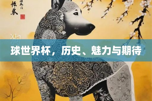 球世界杯，历史、魅力与期待
