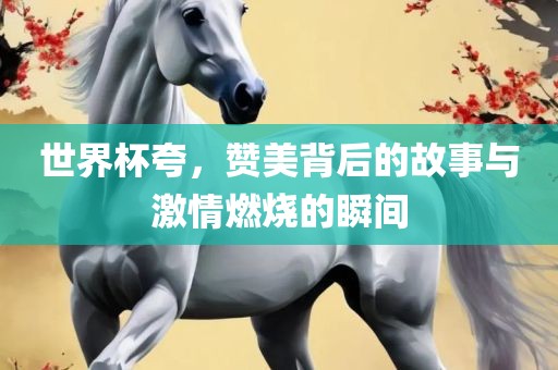 世界杯夸，赞美背后的故事与激情燃烧的瞬间